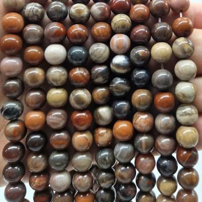 Agate fossile