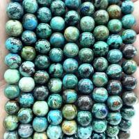Chrysocolle